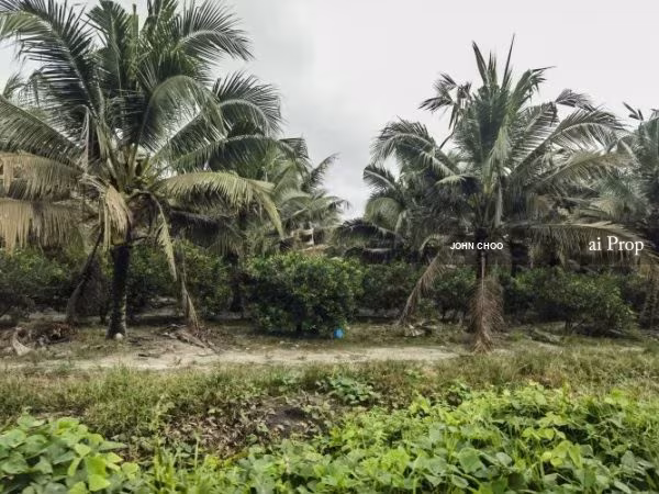 Paloh Agricultural Land – 965 Acres site view