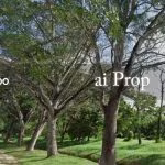 Kempas Lama Converted Commercial Land – 5 Acres - Photo 1 of 1