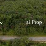 Ptp Converted Industrial Land – 5.5 Acres - Photo 2 of 2