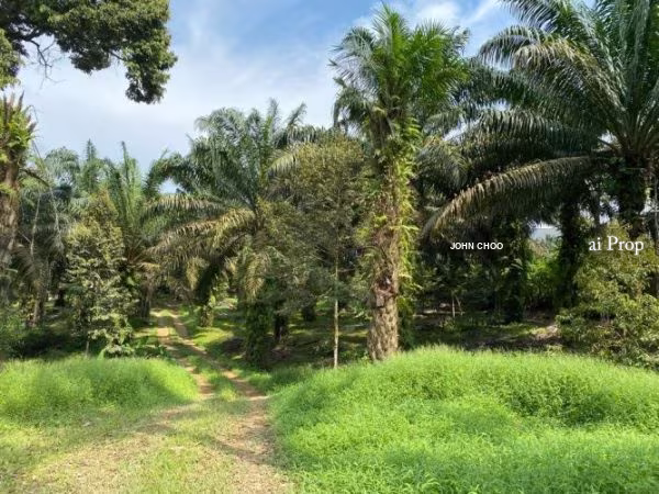Kulai Industrial-Zoned Land – 7 Acres site view