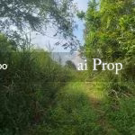 Kempas Converted Industrial Land – 2.7 Acres - Photo 2 of 2