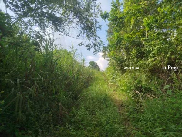 Kempas Converted Industrial Land – 2.7 Acres site view