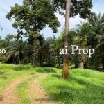 Kulai Industrial-Zoned Land – 7 Acres - Photo 5 of 8