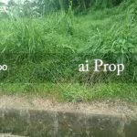 Abdul Samad Residential-Zoned Land – 5000 Sqft - Photo 2 of 2
