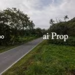 Ptp Converted Industrial Land – 5.5 Acres - Photo 1 of 2