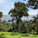 Kulai Industrial-Zoned Land – 7 Acres - Photo 2 of 8