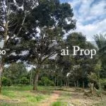 Api-Api Agricultural Land – 4 Acres - Photo 3 of 3