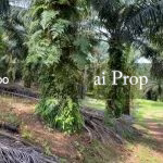 Kulai Industrial-Zoned Land – 7 Acres - Photo 7 of 8