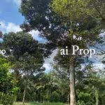Api-Api Agricultural Land – 4 Acres - Photo 2 of 3