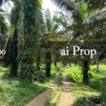Kulai Industrial-Zoned Land – 7 Acres - Photo 3 of 8