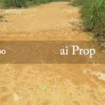 Senai Converted Industrial Land – 21 Acres - Photo 2 of 4