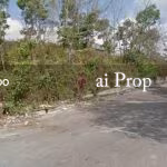 Sungai Tiram Converted Industrial Land – 14 Acres - Photo 1 of 3