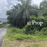 Paloh Agricultural Land – 965 Acres - Photo 6 of 6