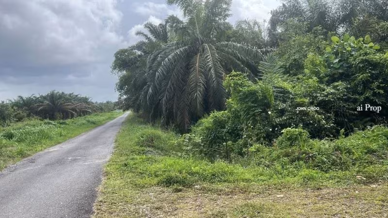Paloh Agricultural Land For Sale In Kluang - 965 Acres #522 - Slide Photo 6