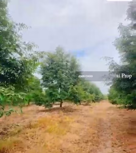 Kluang Agricultural Land For Sale In Johor - 20 Acres #613 - Slide Photo 1