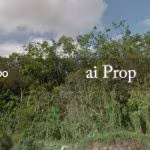 Sungai Tiram Converted Industrial Land – 14 Acres - Photo 3 of 3