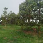 Layang-layang Residential Land For Sale In Kluang – 9.25 Acres - Photo 1 of 1