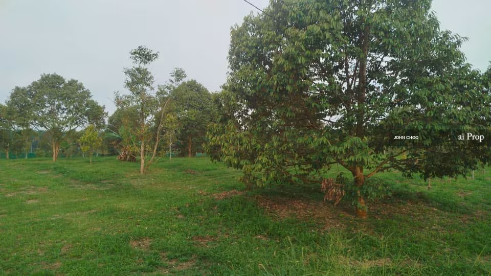 Layang-layang Residential Land For Sale In Kluang - 9.25 Acres #499 - Slide Photo 1