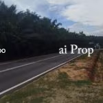 Seelong Agricultural Land – 1.9 Acres - Photo 2 of 2