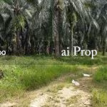 Kuala Pilah Agricultural Land For Sale In Negeri Sembilan – 198 Acres - Photo 2 of 3