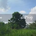 Kempas Converted Industrial Land – 2.7 Acres - Photo 1 of 2