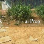 Senai Converted Industrial Land – 21 Acres - Photo 4 of 4