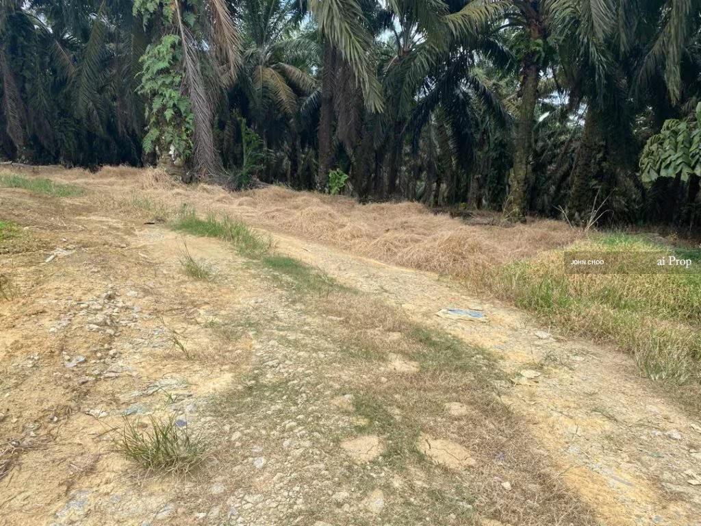 Seelong Jaya Industrial Land For Sale In Senai - 6 Acres #429 - Slide Photo 1