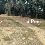 Seelong Jaya Industrial-Zoned Land – 6 Acres - Photo 1 of 1