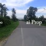 Api-api Converted Industrial Land – 3.8 Acres - Photo 2 of 2