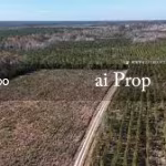 Kluang Agricultural Land For Sale In Johor – 1124 Acres - Photo 1 of 2