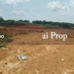 Senai Converted Industrial Land – 21 Acres - Photo 3 of 4