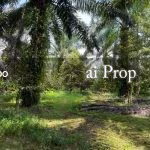 Kulai Industrial-Zoned Land – 7 Acres - Photo 6 of 8