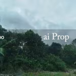 Laguna Heights Residential-Zoned Land – 2 Acres - Photo 4 of 4