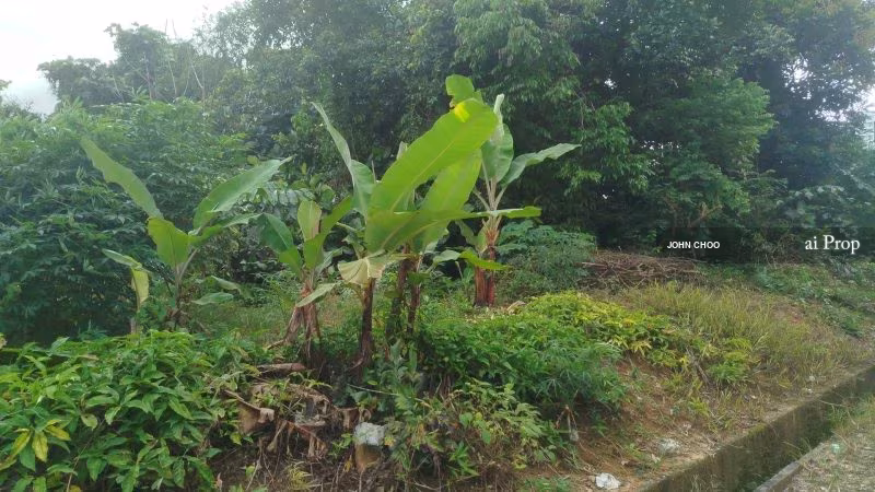 Laguna Heights Residential Land For Sale In Jb City - 2 Acres #630 - Slide Photo 3