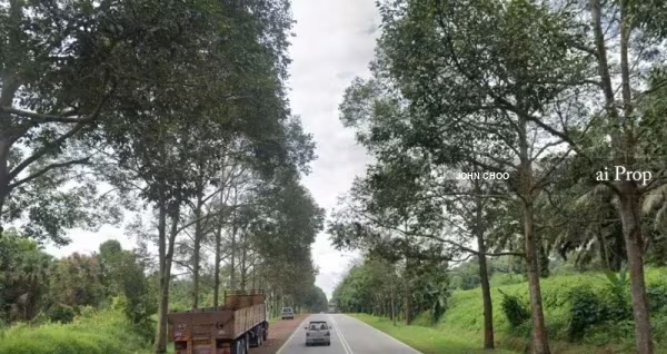 Kelapa Sawit Industrial Land For Sale In Kulai – 165 Acres site view