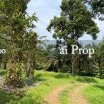 Kulai Industrial-Zoned Land – 7 Acres - Photo 1 of 8