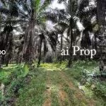 Kulai Industrial-Zoned Land – 7 Acres - Photo 8 of 8