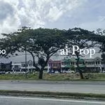Pasir Gudang Converted Industrial Land – 50 Acres - Photo 1 of 3