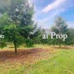 Kluang Agricultural Land For Sale In Johor – 20 Acres - Photo 2 of 4