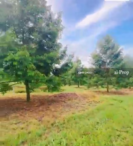Kluang Agricultural Land For Sale In Johor - 20 Acres #613 - Slide Photo 2