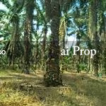 Inas Road Agricultural Land – 435 Acres - Photo 4 of 4