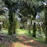 Kulai Industrial-Zoned Land – 7 Acres - Photo 4 of 8