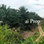 Desa Idaman Industrial-Zoned Land – 15 Acres - Photo 1 of 4