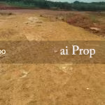 Senai Converted Industrial Land – 21 Acres - Photo 1 of 4