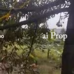 Jementah Agricultural Land For Sale In Segamat – 35 Acres - Photo 3 of 3