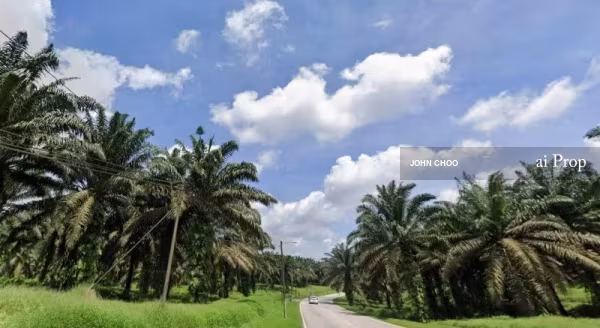 Sedenak Agricultural Land – 1138 Acres site view