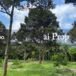 Api-Api Agricultural Land – 4 Acres - Photo 1 of 3