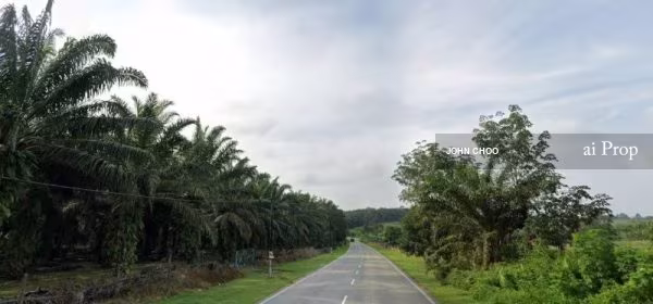 Kota Tinggi Converted Industrial Land – 9 Acres site view