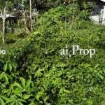 Seelong Kampung Baru Residential-Zoned Land – 3400 Sqft - Photo 2 of 2