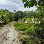 Ulu Choh Residential-Zoned Land – 1.4 Acres - Photo 2 of 2